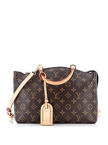 Louis Vuitton Louis Vuitton Petit Palais Handbag Monogram Canvas  (view 1)