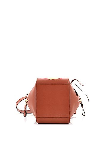 Loewe Loewe Spirited Away Hammock Bag Printed Leather Mini  (view 2)