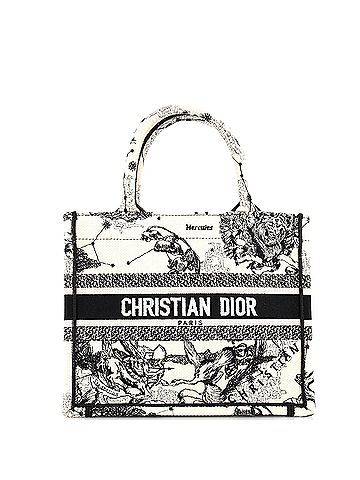 Christian Dior Christian Dior Book Tote Embroidered Canvas Small  (view 1)