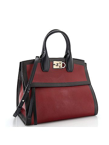 Salvatore Ferragamo Studio Satchel Leather Medium (view 2)